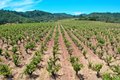 Additional image 38 of 25845 Dutcher Creek Rd, Cloverdale, CA, 95425