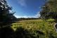 Additional image 5 of Land At Cae-Deial, Llanfihangel, Powys, SY22