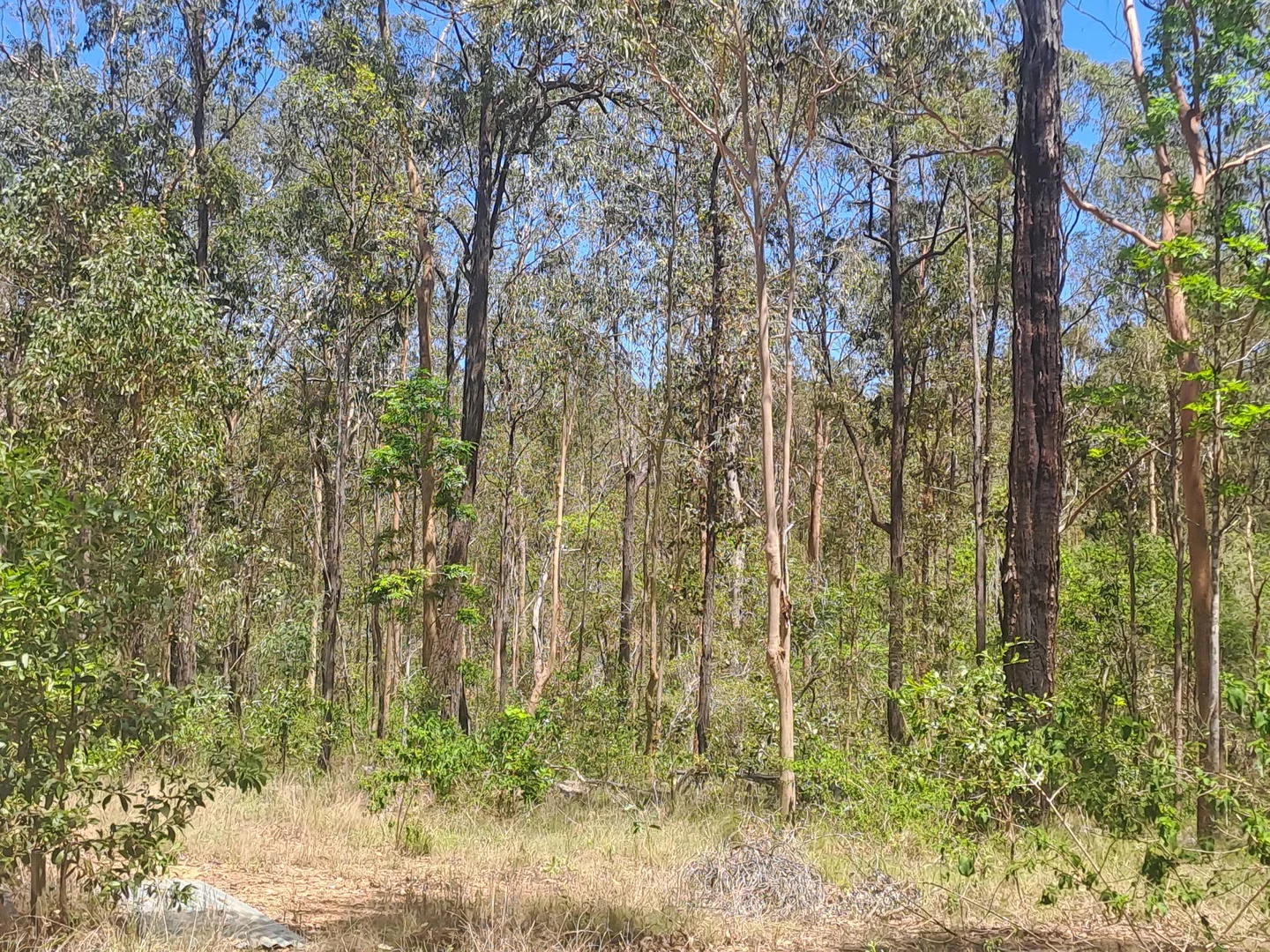 Additional image 7 of 215 Paterson Road, Paterson QLD 4570