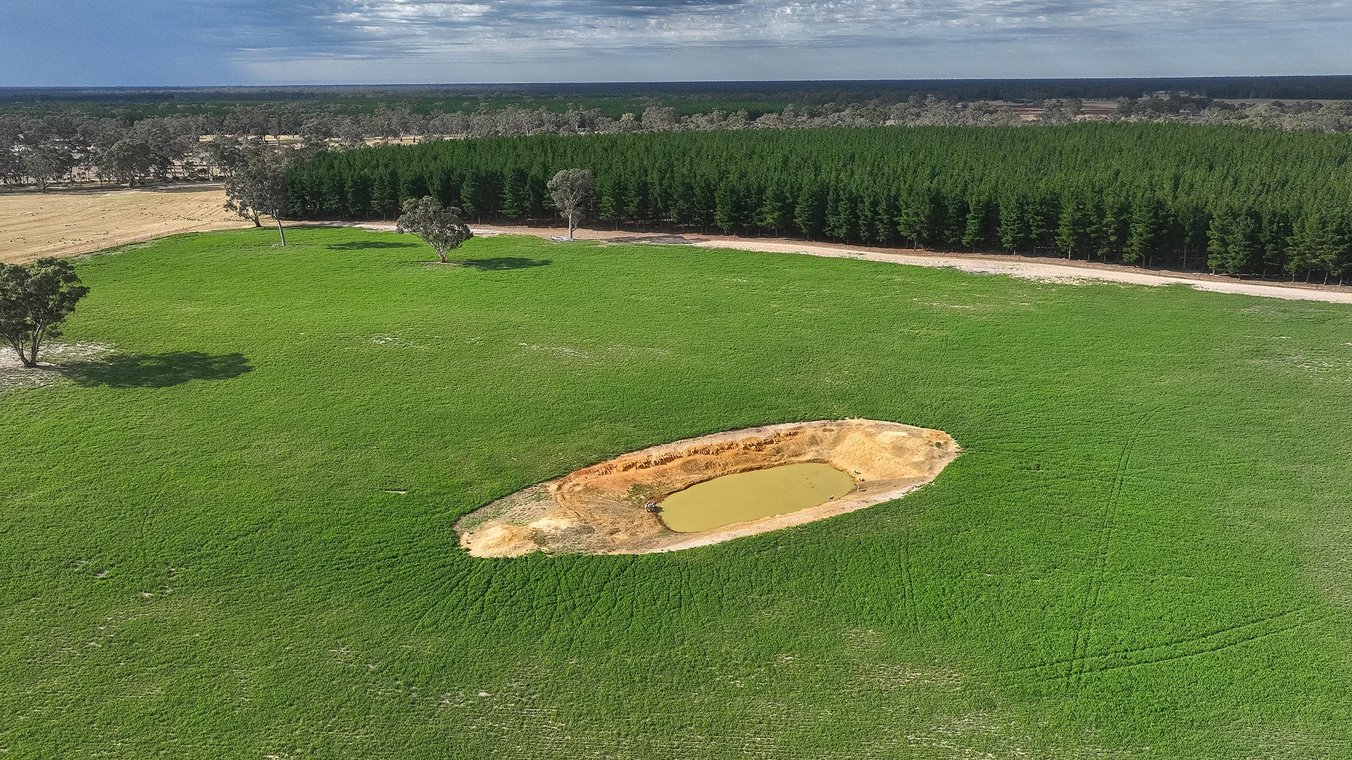 Additional image 33 of 2885 Frances Road, Bordertown SA 5268