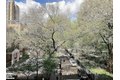 Additional image 9 of 230 E 15th St Apt 7M, Manhattan, NY, 10003