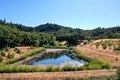 Additional image 63 of 25845 Dutcher Creek Rd, Cloverdale, CA, 95425