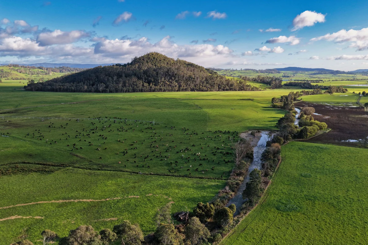 Additional image 3 of 1037 & 1044 Dairy Plains Road, Western Creek TAS 7304