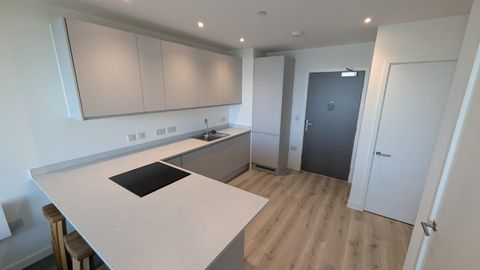 Apartment 11302, 4 Wharf End M17