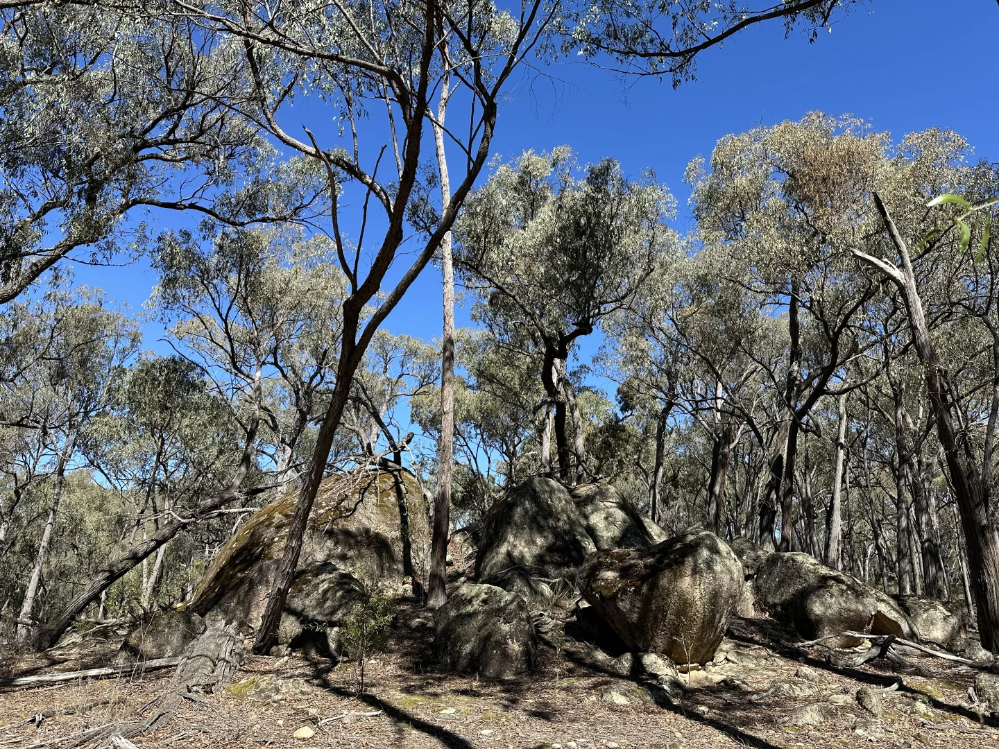 Additional image 9 of 880 Lima East Road, Lima East VIC 3673