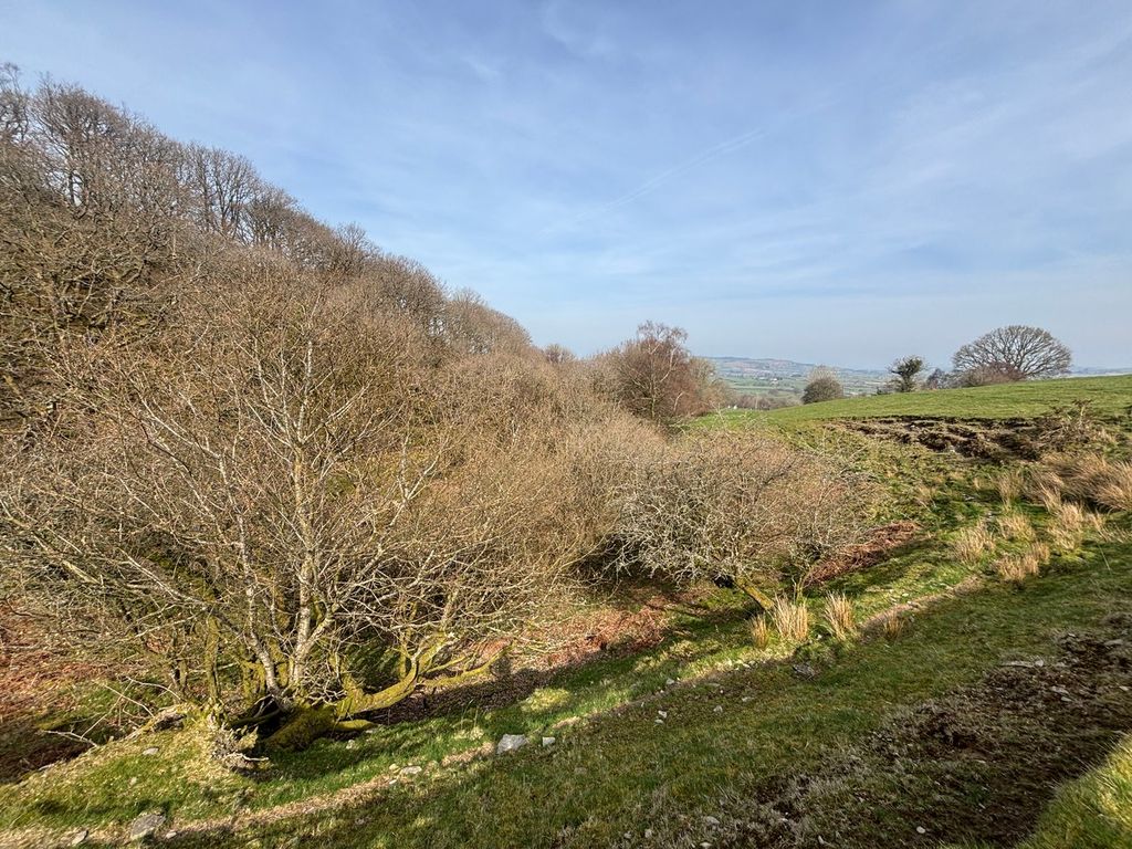 Additional image 16 of 3 bed farm for salePontrhydfendigaid, Ystrad Meurig SY25