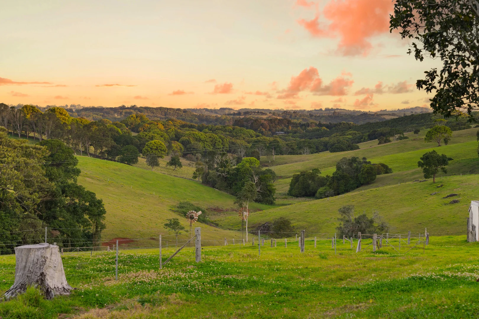 Additional image 8 of 457 Coolamon Scenic Drive, Coorabell NSW 2479