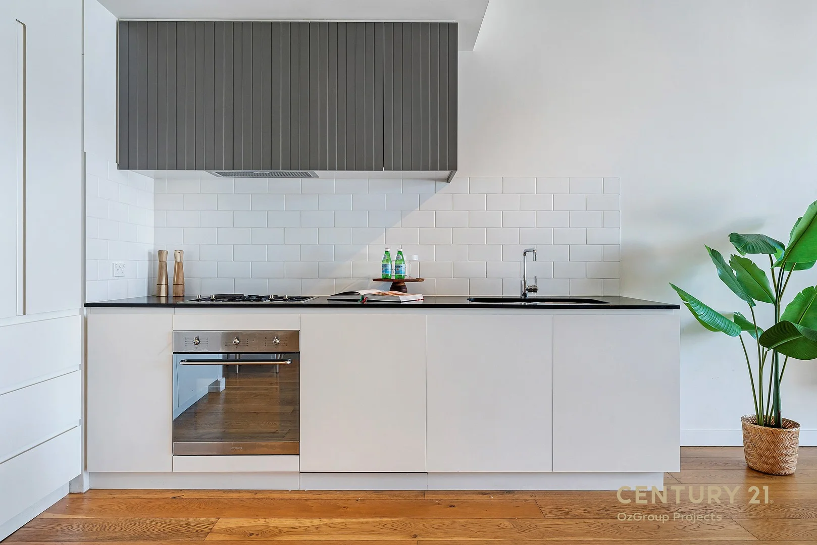 53D/356-368 George Street, Waterloo NSW 2017
