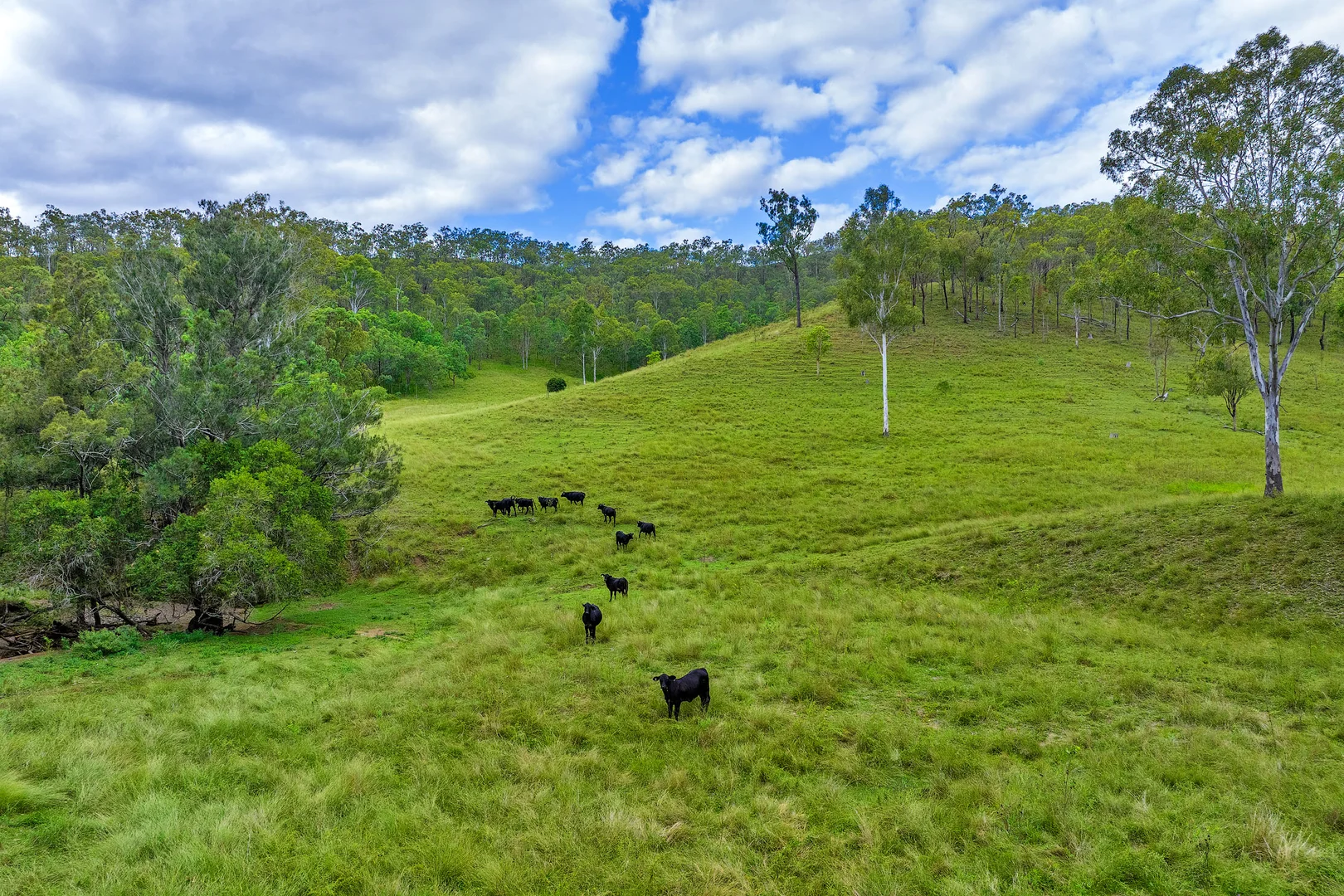 Additional image 11 of Lot 280 Baxter Road, Black Snake QLD 4600