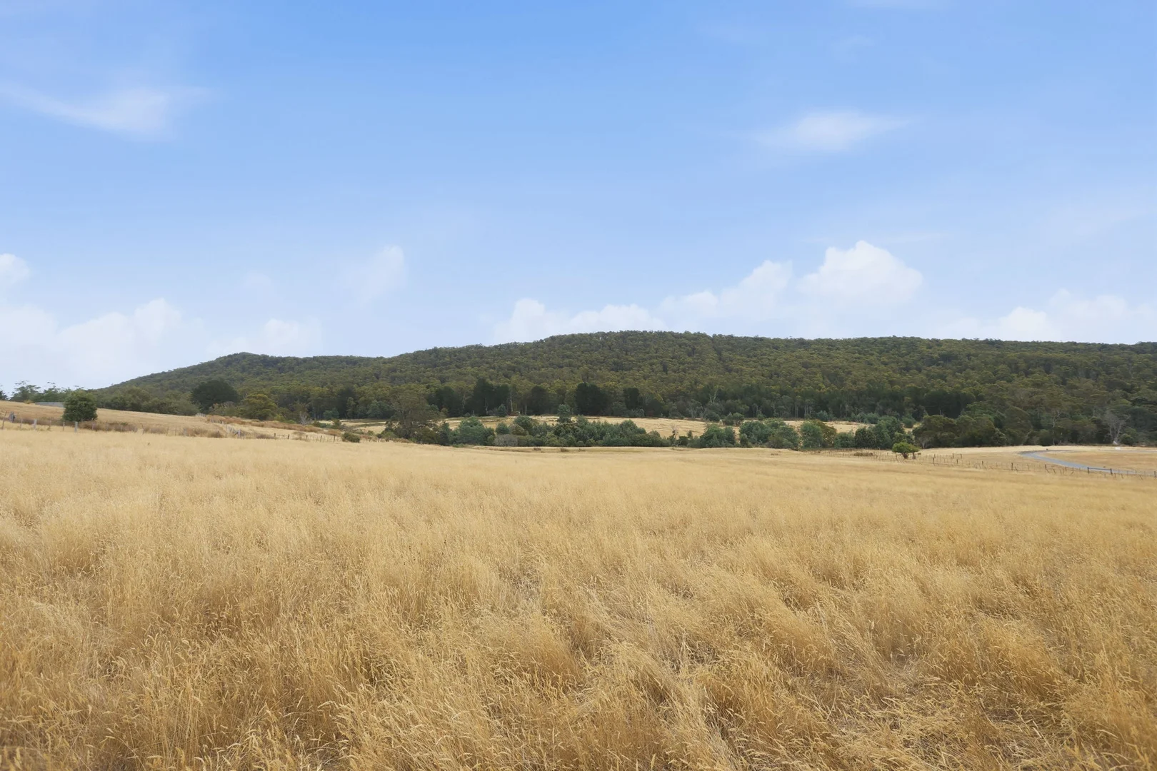 Additional image 12 of 3615 West Tamar Highway, Sidmouth TAS 7270