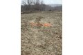 2249 Gidran Dr, Chittenango, NY, 13037