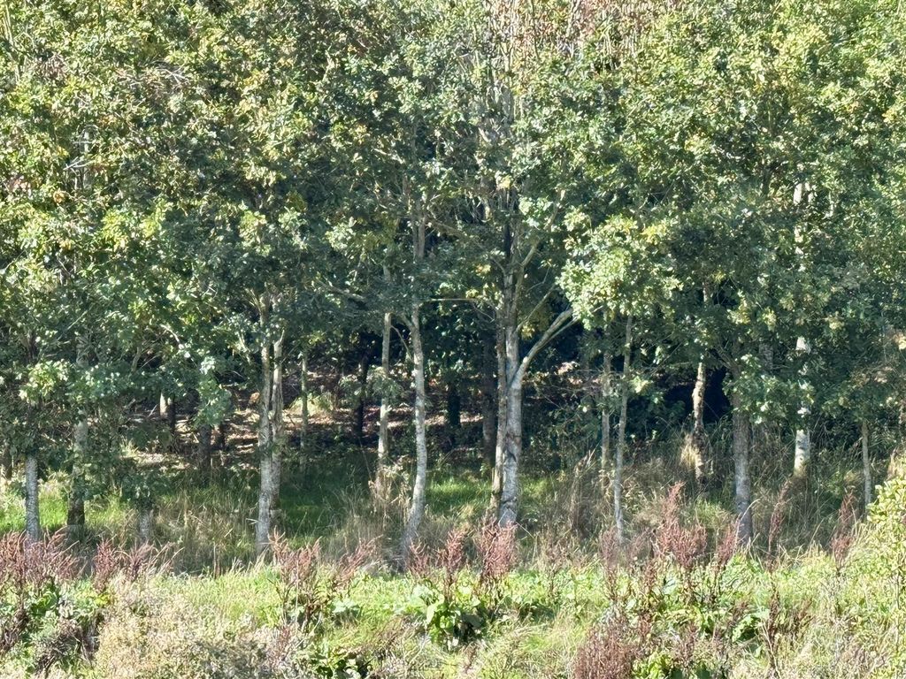 Additional image 3 of Land for salePlot H - West, Little London, Longhope GL17
