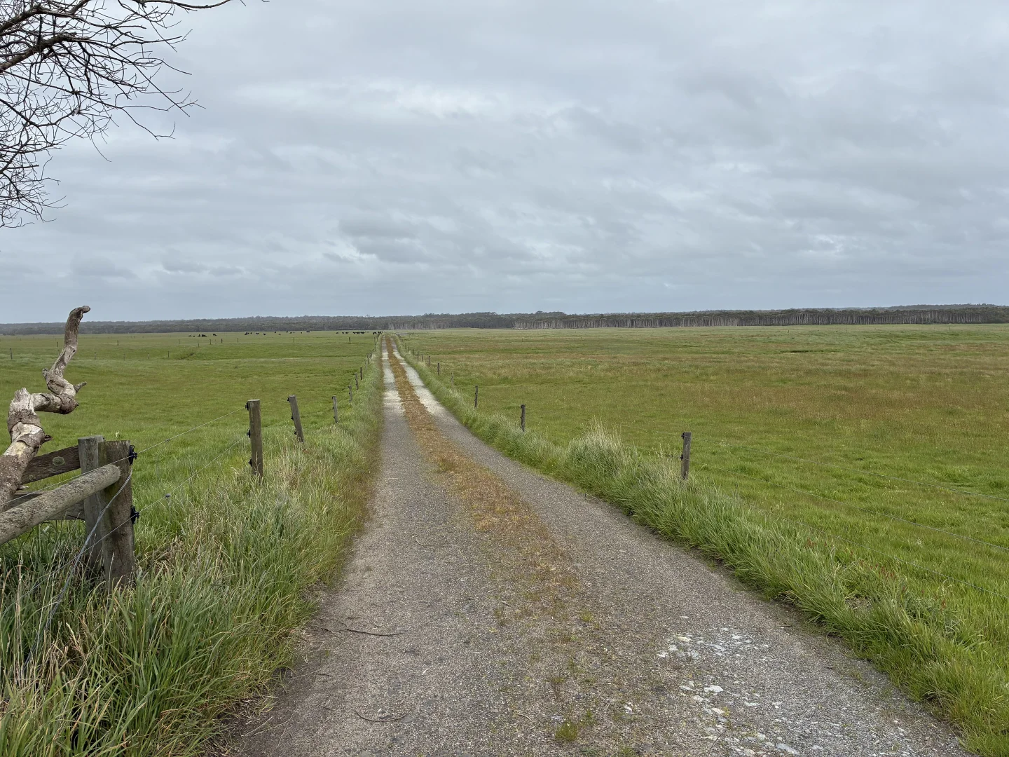 . Harcus River Road, Marrawah TAS 7330 photo 2