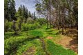 Additional image 42 of 12528 Rattlesnake Rd, Grass Valley, CA, 95945
