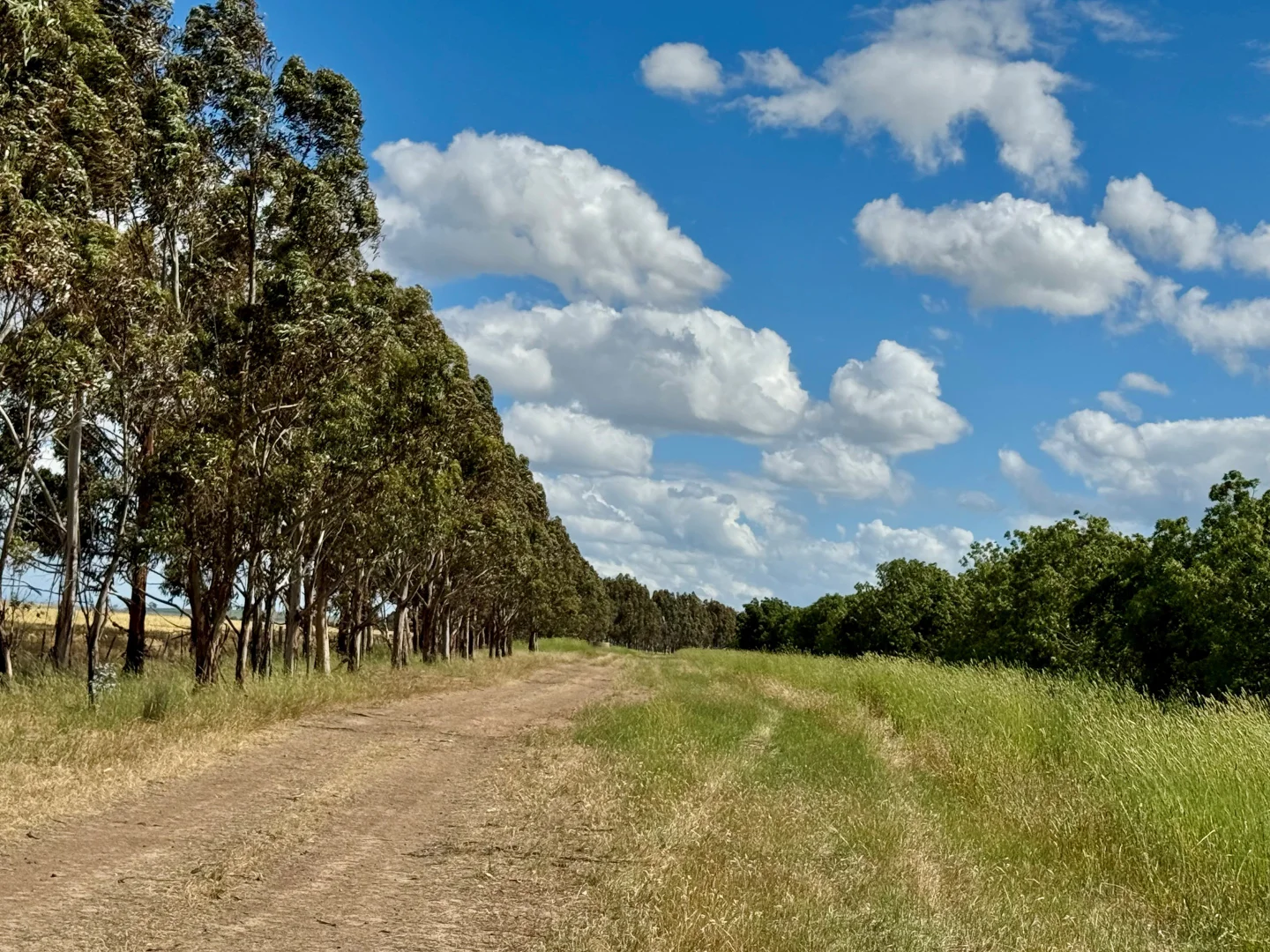 Additional image 9 of 1205 Lower Darlington Road, Lismore VIC 3324