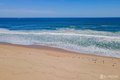 Additional image 17 of 1000 Richmond Ave, Point Pleasant Beach, NJ, 08742