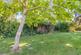 Additional image 41 of Lynn Road, Weeting IP27