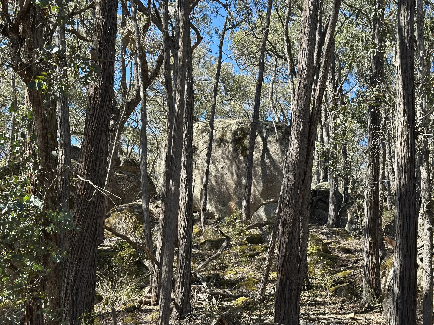Additional image 7 of 880 Lima East Road, Lima East VIC 3673