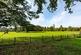 Additional image 18 of The Bothy (and Barns for conversion), Patshull Park, Patshull Hall, Burnhill Green, Wolverhampton