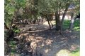 Additional image 20 of 8615 Fair Oaks Blvd, Carmichael, CA, 95608