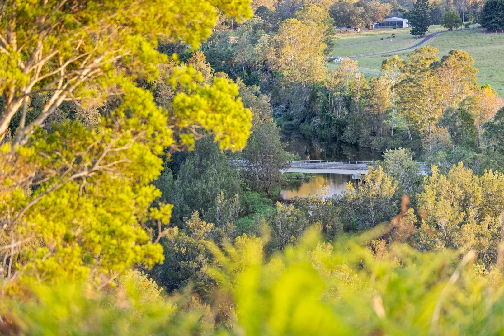 Additional image 18 of 1890 Maleny - Kenilworth Road, Conondale QLD 4552