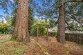 Additional image 44 of 2701 Coloma St, Placerville, CA, 95667