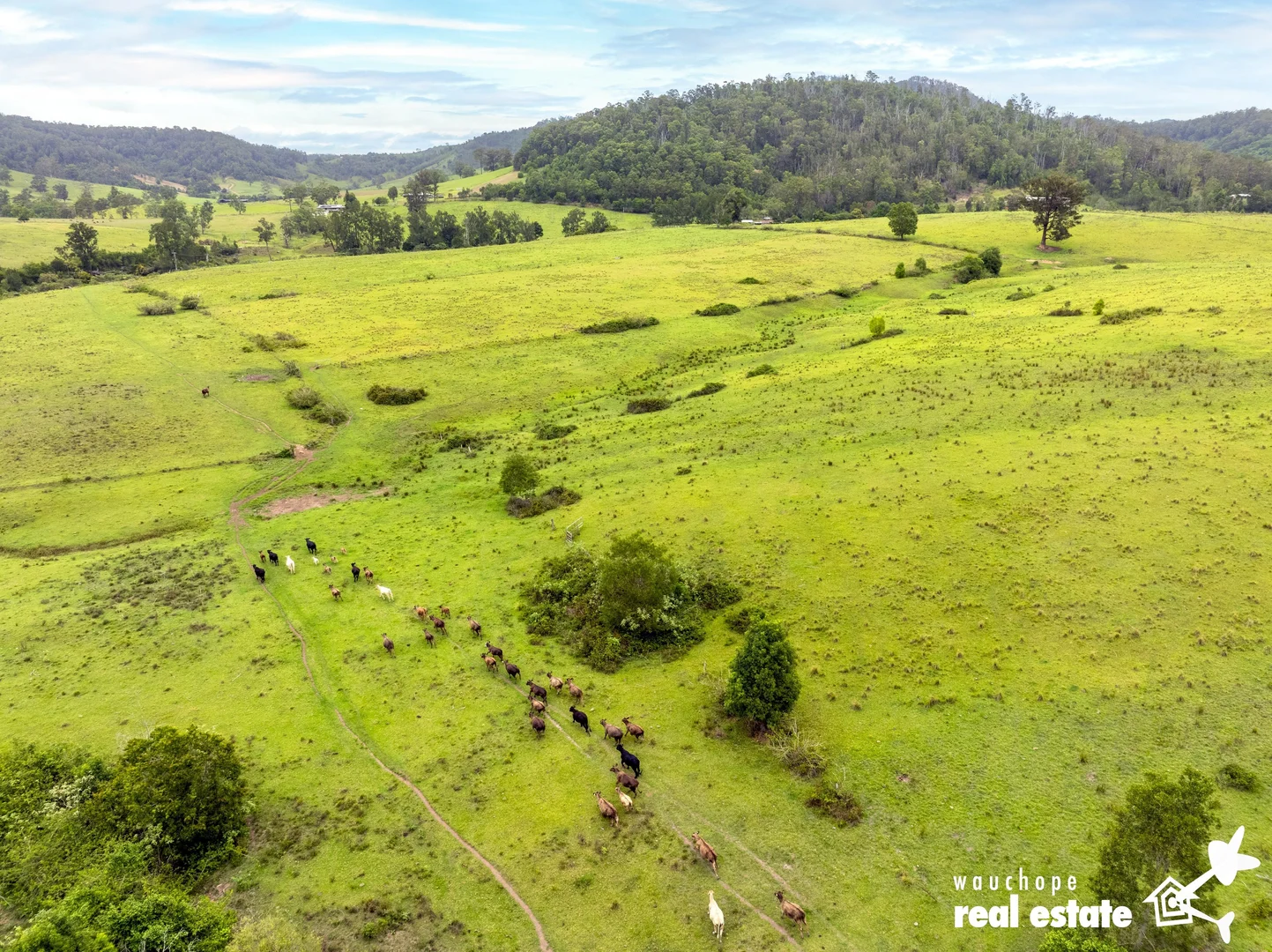 Additional image 28 of 1024 Pappinbarra Road, Pappinbarra NSW 2446