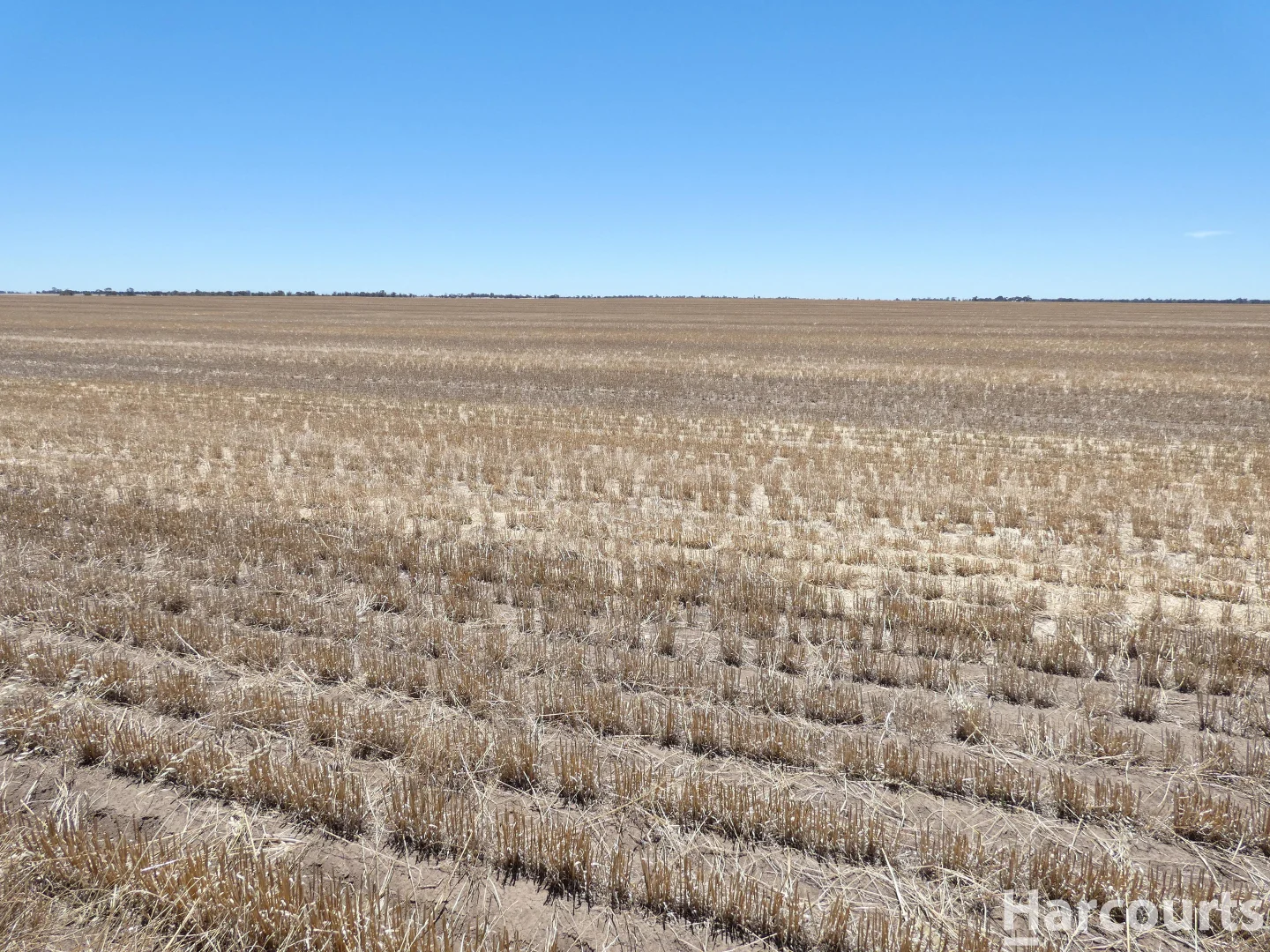 Additional image 2 of . Degenhardts Road, Murtoa VIC 3390
