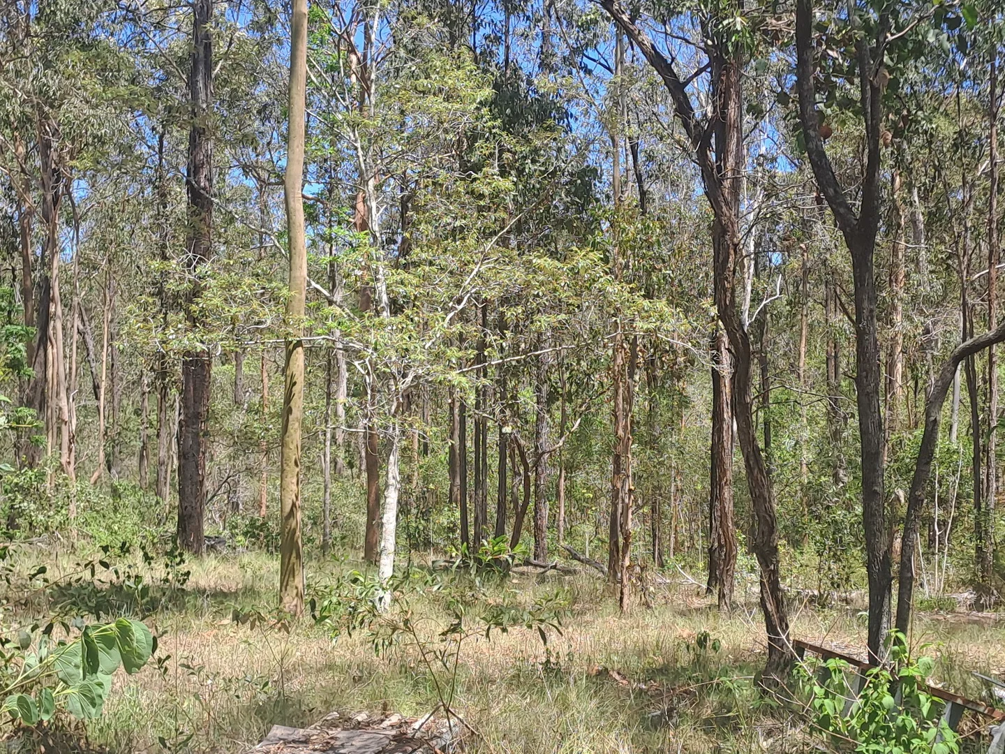 Additional image 10 of 215 Paterson Road, Paterson QLD 4570