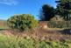 Additional image 4 of Off Rectory Road, Broadheath, Tenbury Wells