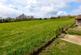 Additional image 39 of Canterbury Road, Elham, CT4