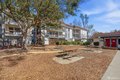 Additional image 23 of 4081 Clayton Rd Apt 235, Concord, CA, 94521