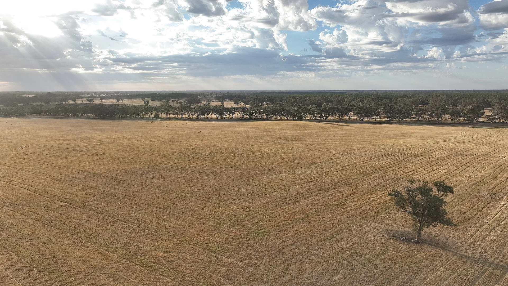 Additional image 8 of 2885 Frances Road, Bordertown SA 5268