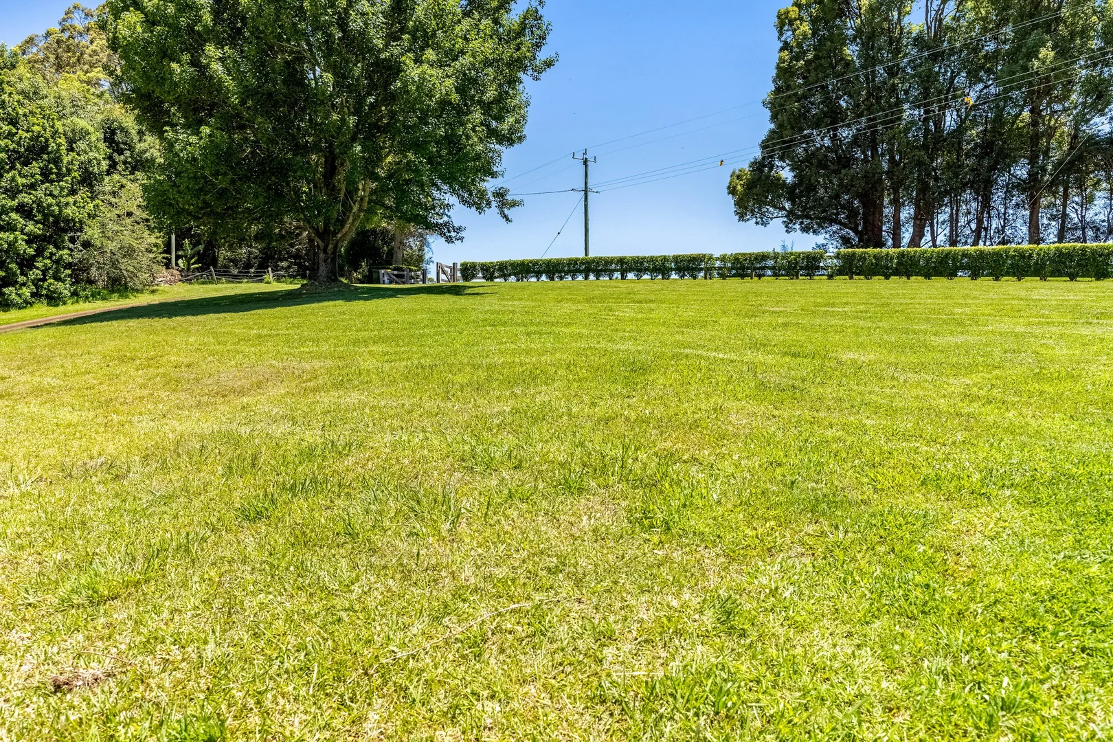 Additional image 16 of 866 Friday Hut Road, Brooklet NSW 2479