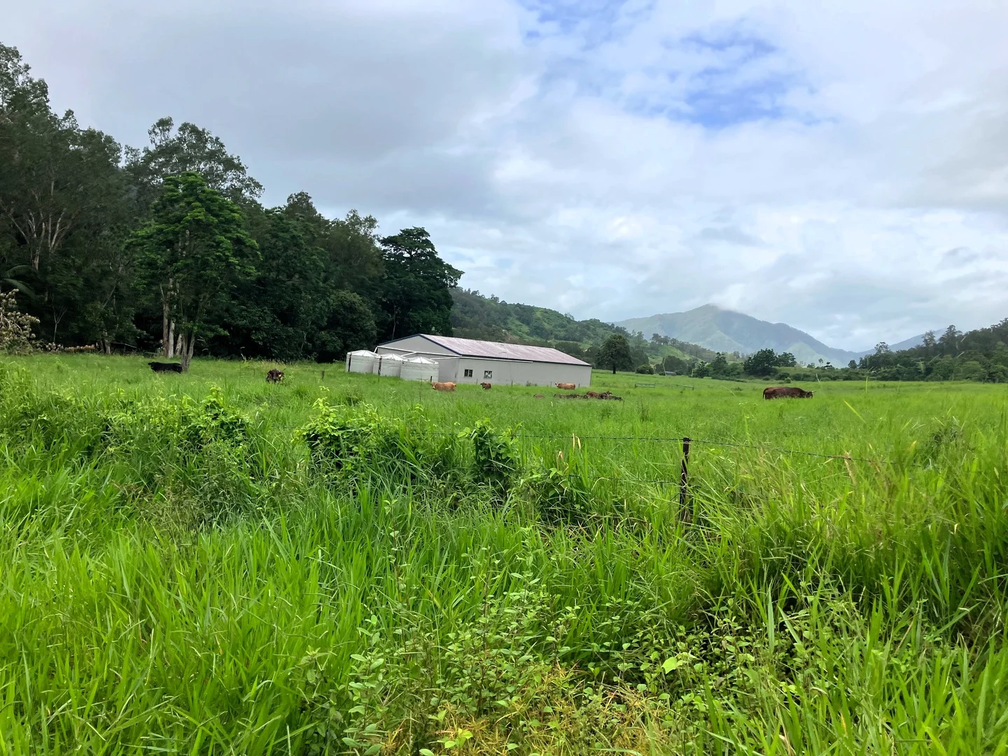 Additional image 9 of Gorge Road, Finch Hatton QLD 4756