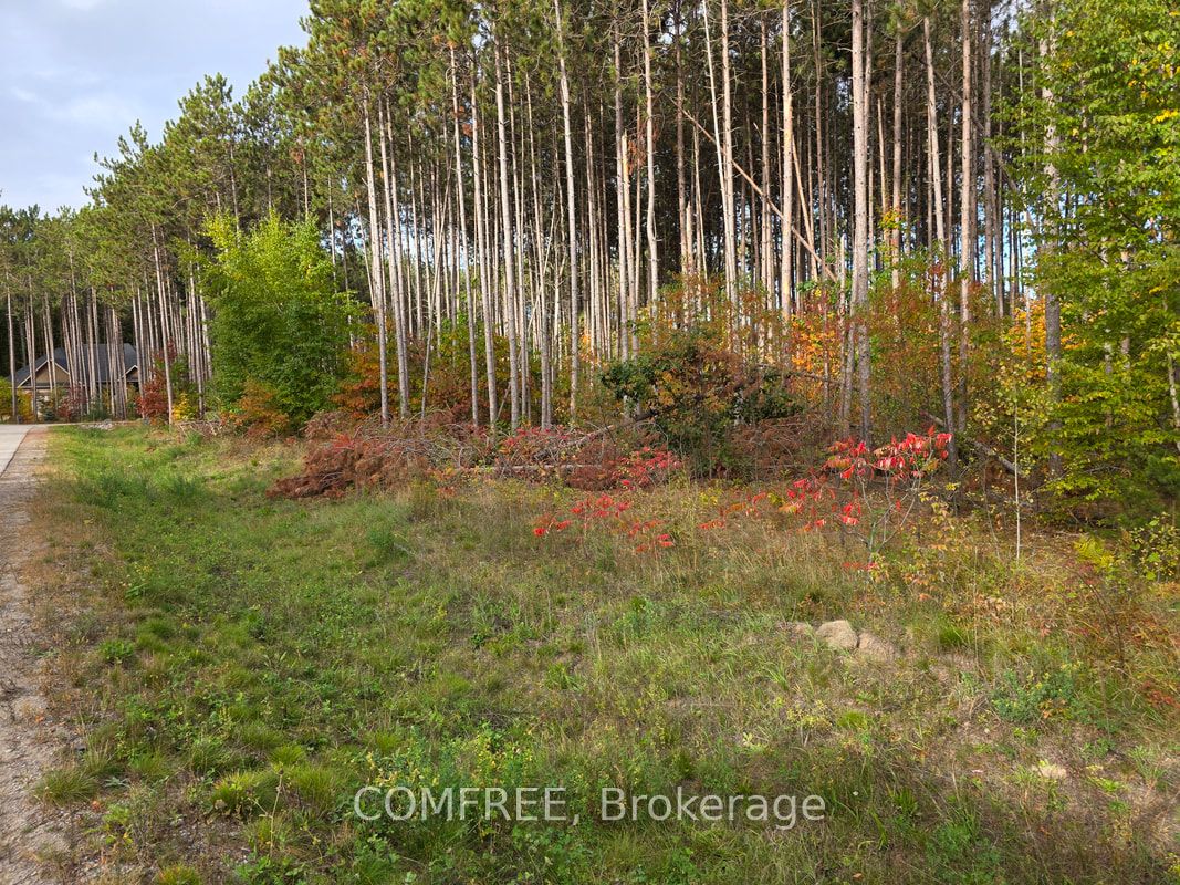 Additional image 2 of Lot 19-75 Windermere Circle, Tay, ON, L4R 0C3