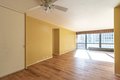 Additional image 5 of 900 N Lake Shore Dr Apt 1608, Chicago, IL, 60611