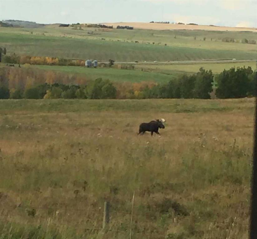 Additional image 4 of 4142 Township Road 290 , Rural Mountain View County, AB, T0M1L0