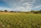 House Site & Land At Backfield Farm, Drumlithie, Stonehaven, Aberdeenshire, AB39