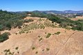 Additional image 31 of 25845 Dutcher Creek Rd, Cloverdale, CA, 95425