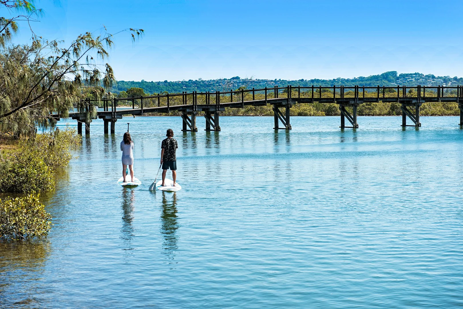 Additional image 31 of 4 Baker-Finch Place, Twin Waters QLD 4564