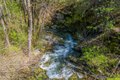 Additional image 41 of 8916 Reading Creek Rd, Douglas City, CA, 96024