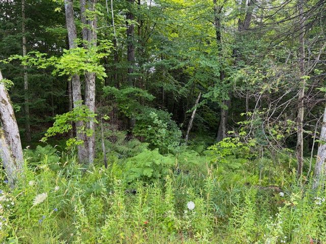 Additional image 2 of 47 Summer Leigh Trail, Huntsville, ON, P0B 1M0