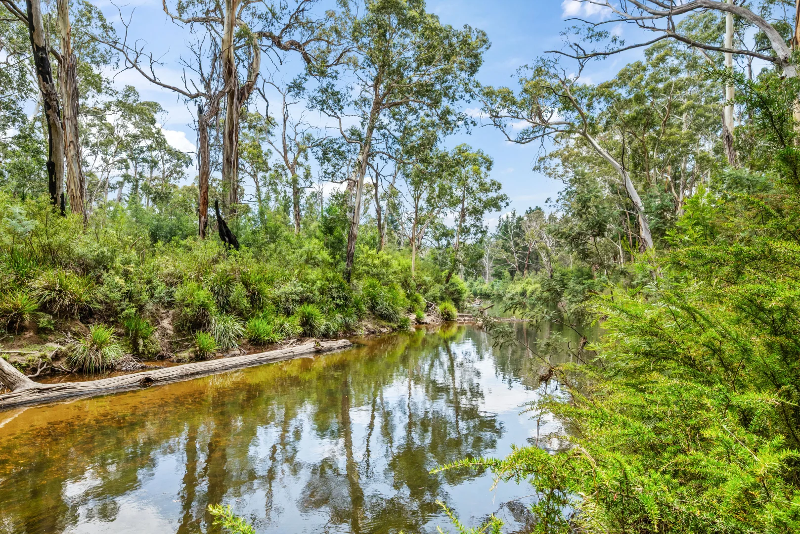 Additional image 9 of 7288 Nerriga Road, Braidwood NSW 2622