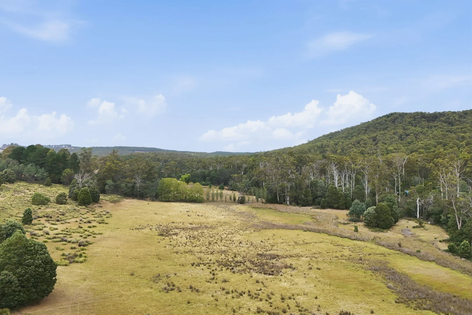 Additional image 26 of 3615 West Tamar Highway, Sidmouth TAS 7270