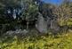 Additional image 7 of Land At Cae-Deial, Llanfihangel, Powys, SY22