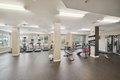 Additional image 29 of 300 Cormorant Pl, Frederick, MD, 21701