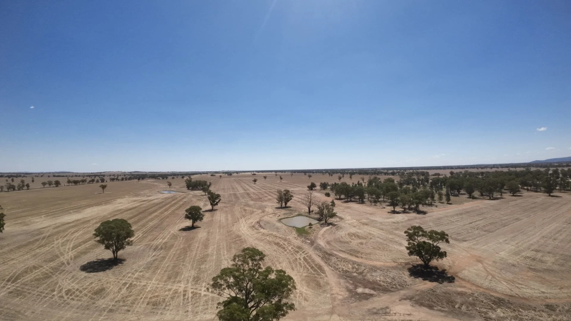 Additional image 6 of 159 Noakes Road, Bribbaree NSW 2594
