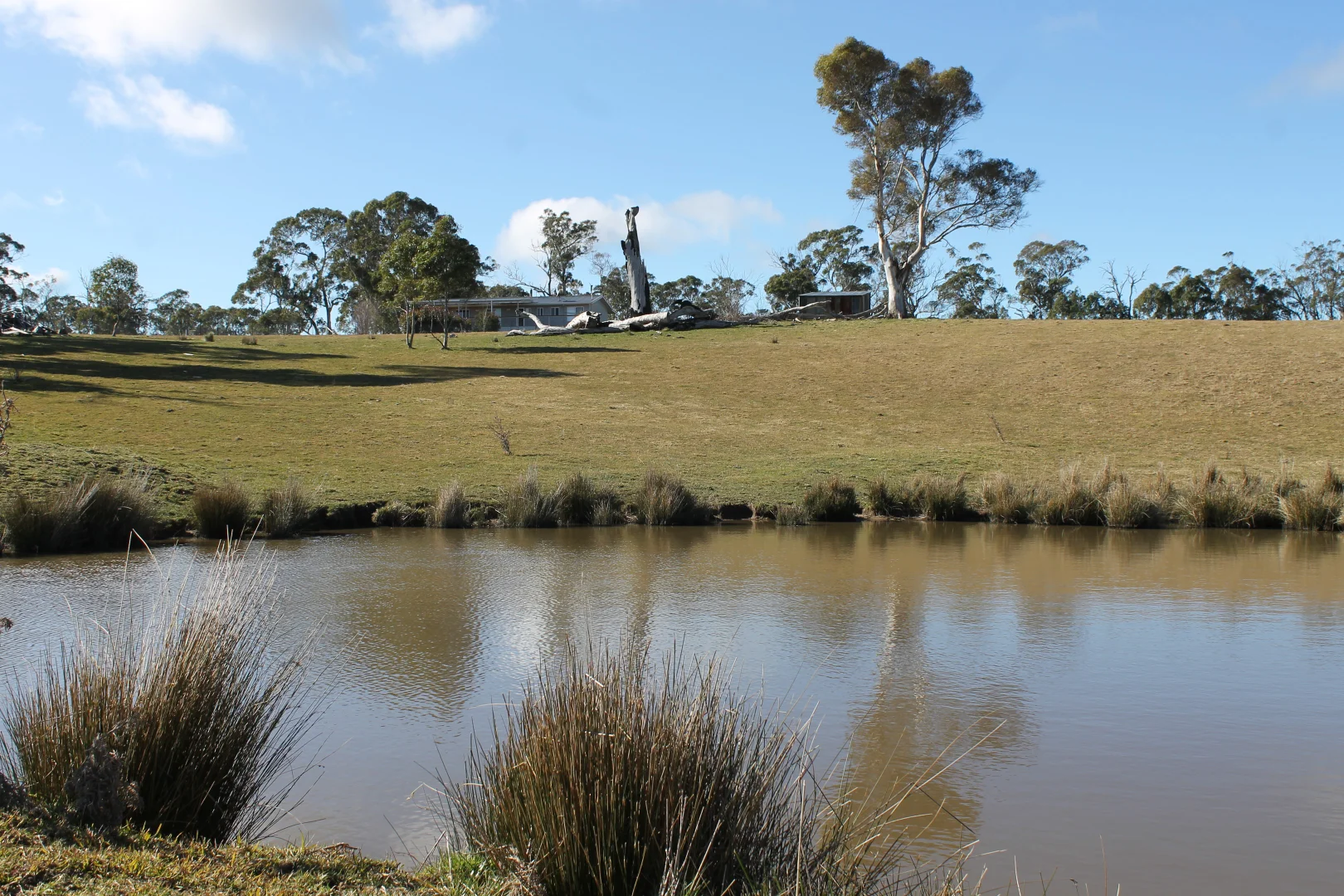 Additional image 4 of 24 Sawyers Ridge Road, Braidwood NSW 2622