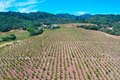 Additional image 39 of 25845 Dutcher Creek Rd, Cloverdale, CA, 95425
